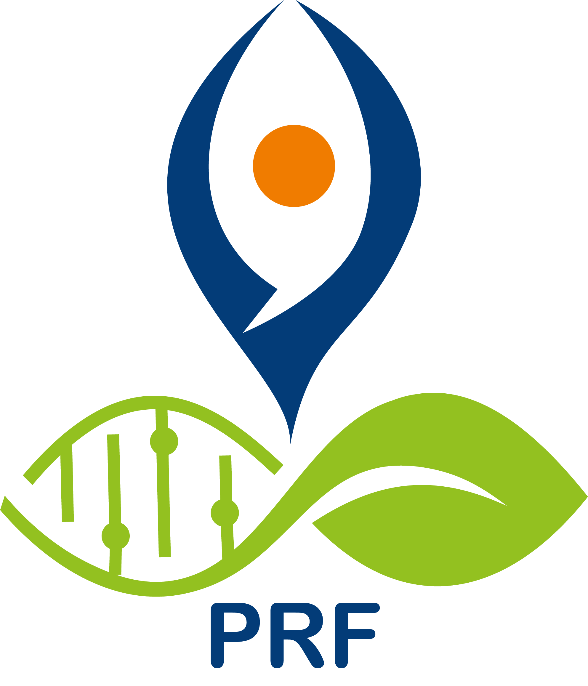 Patanjali Research Foundation